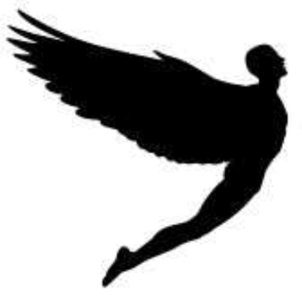 learn to fly