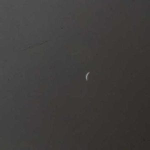 Moonrise
