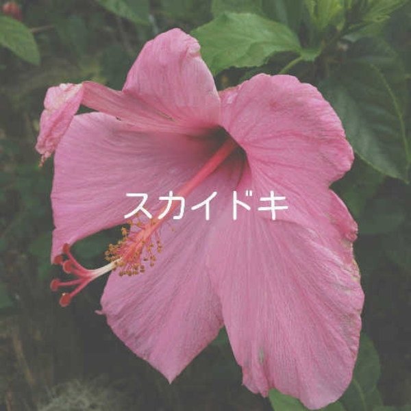 leave. edit