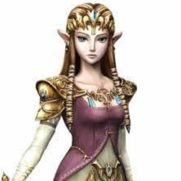 Leave Princess Zelda Alone