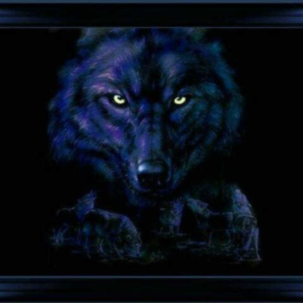legion of wolves