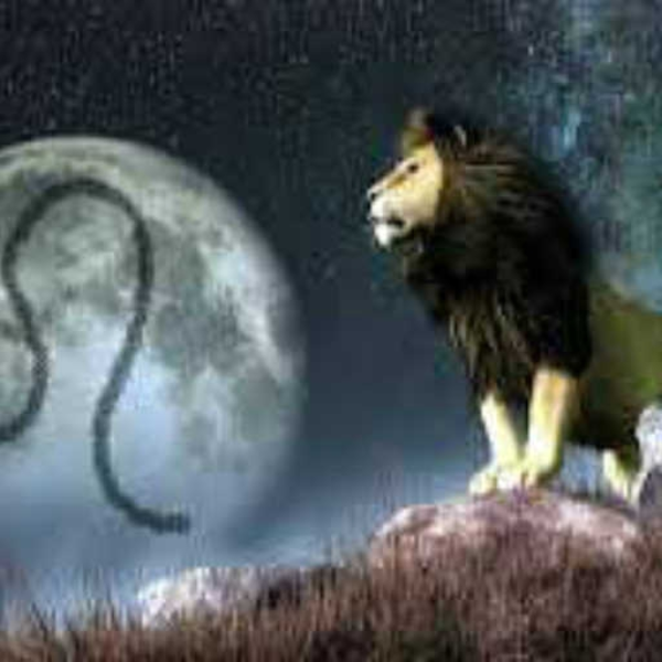 leo freestyle