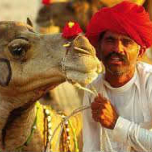 Lets talk India