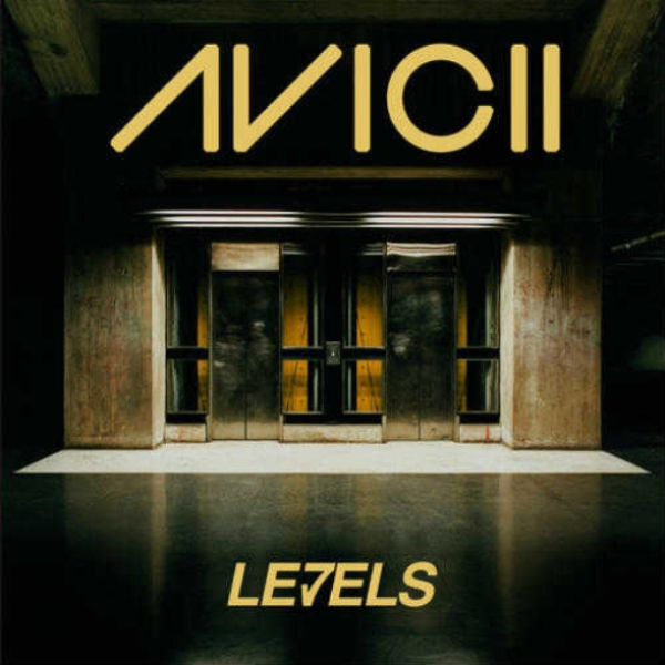 Levels - Avicii Skrillex Mix