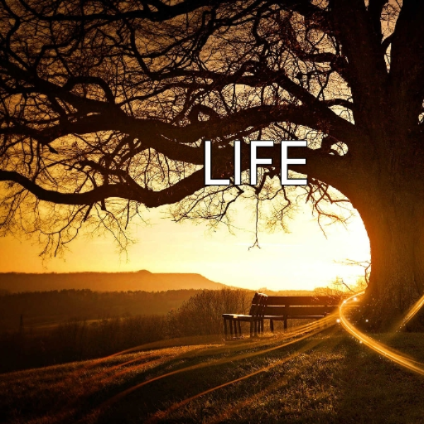 ♪Getsuoh♫® - Life