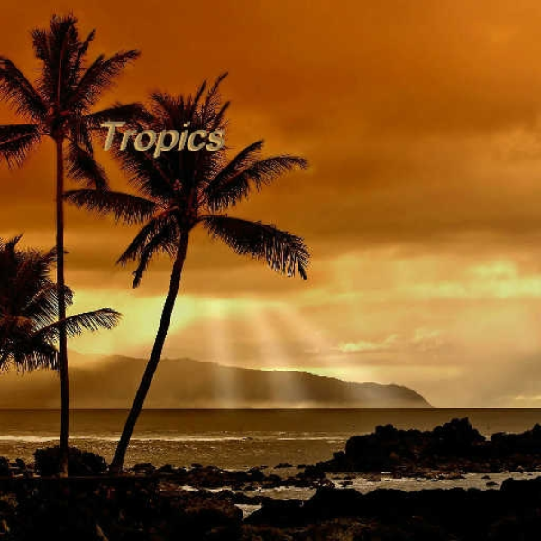 Tropics(Ft.Many Artists)(last song 4 now)