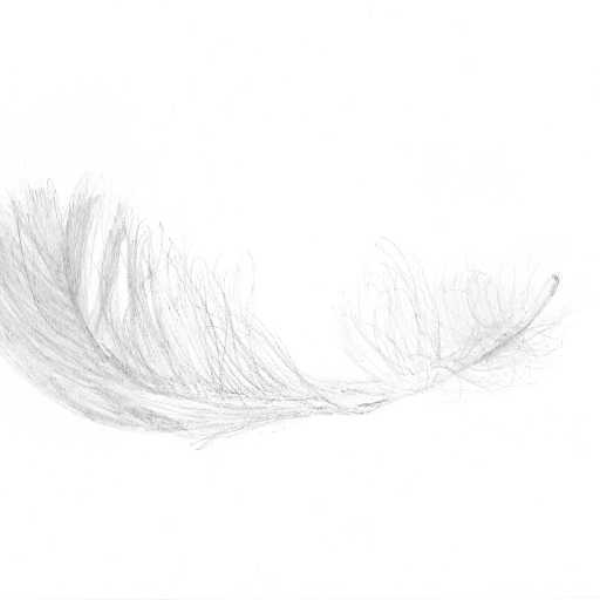 Light as a Feather (TRI/\D Cover)