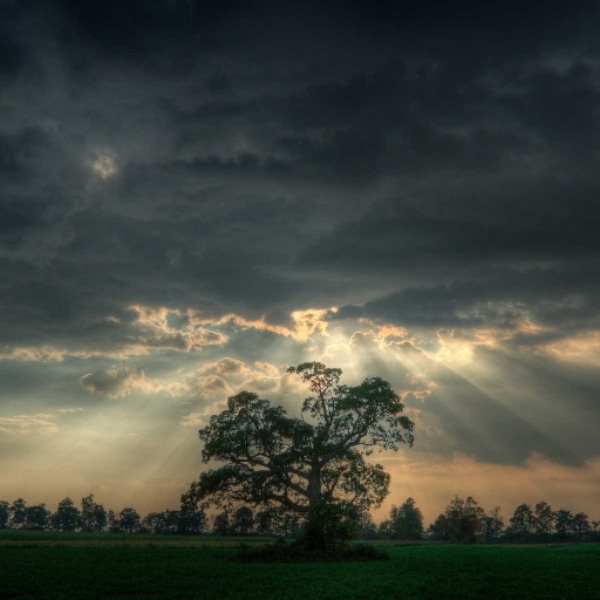 Light In A Storm