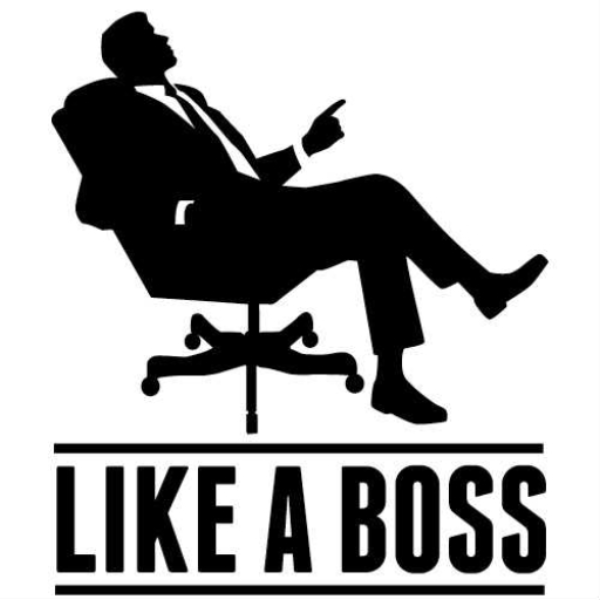 Like A Boss