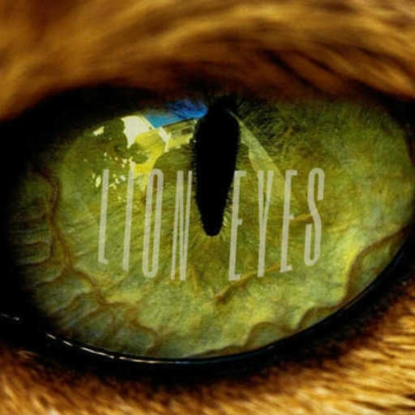 Lion Eyes - [DnB]