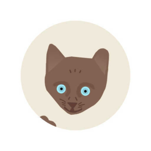 little tiger