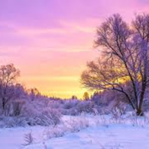 Winter