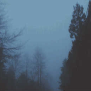 Lo s e.