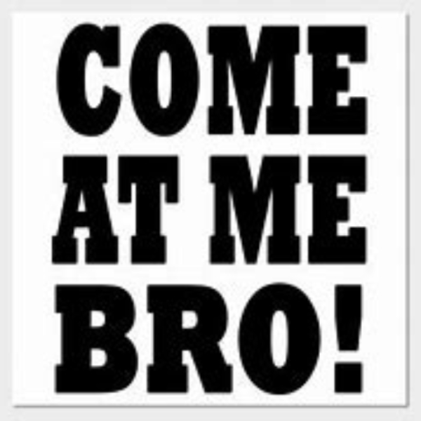 Come at me bro! (Sinactive--- Feat.Snowfire)