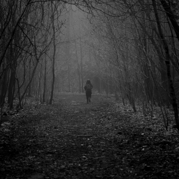 Lone walker