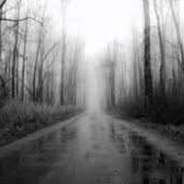 Lonely Road Pt.2