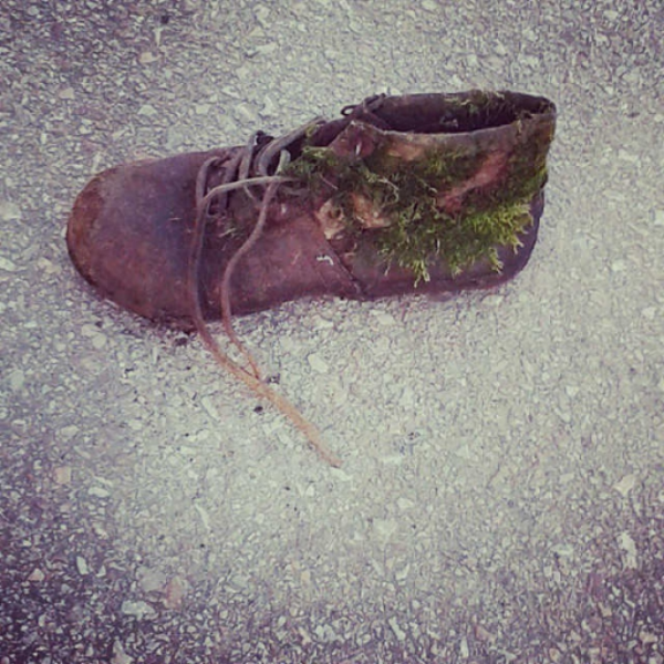 Lonely shoe in bad condition