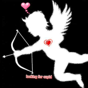 looking for cupid