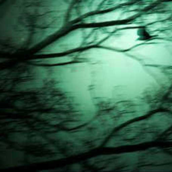 Lost Dreams