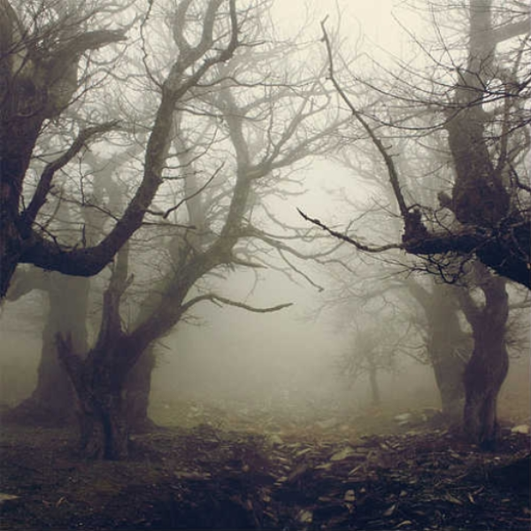 Lost In The Woods (Instrumental)