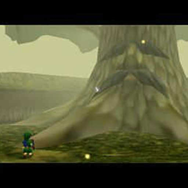 Lost Woods