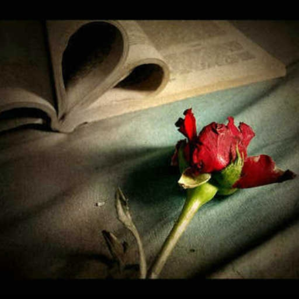 love runs out...