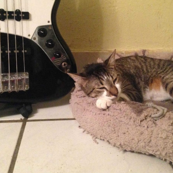 love x love bassline test thingy idk