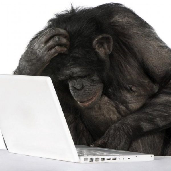 0 master