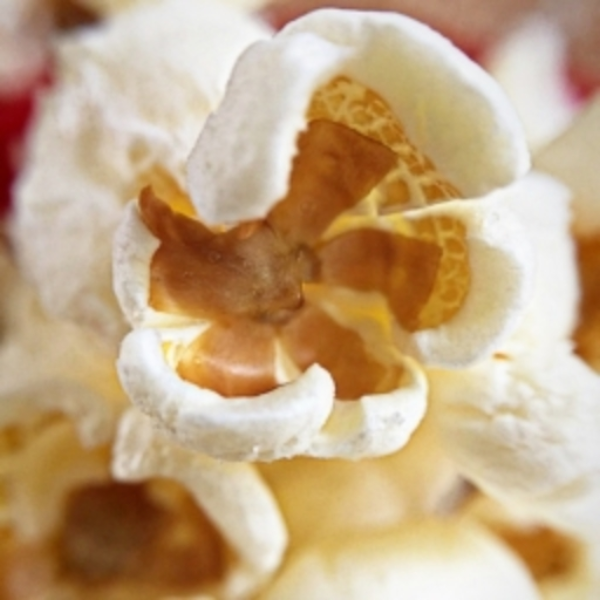 "Popcorn" By Hot Butter Bassline Remix