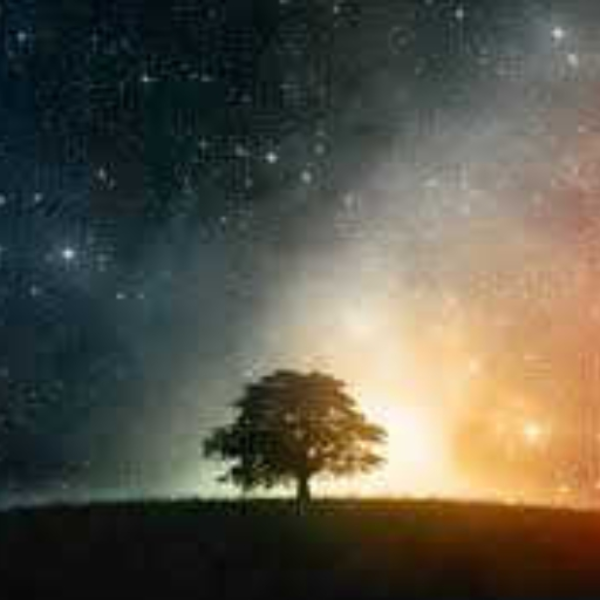 Lucid