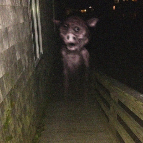 死神
