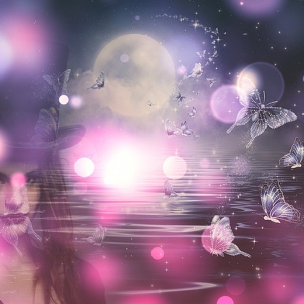 Starlight Serenade
