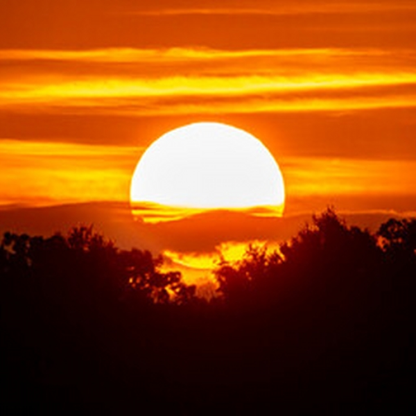 Sunrise