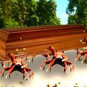 Crab Rave x Coffin Dance (Astronomia)