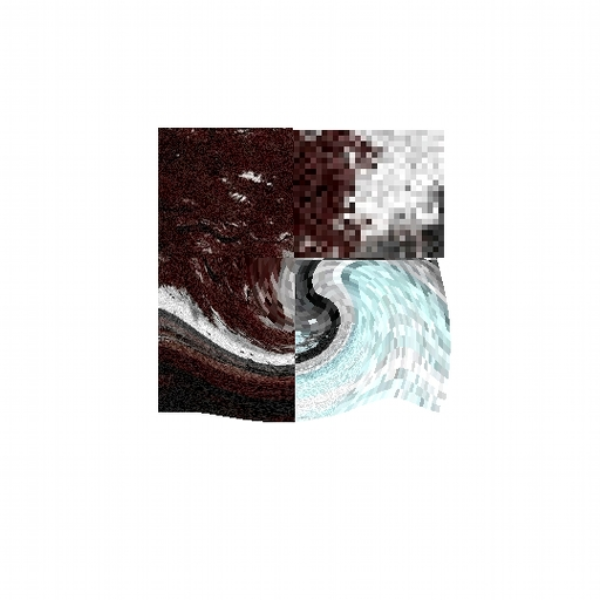 nevv(er/a)||