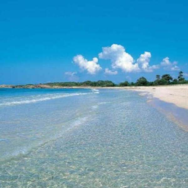 majorca beach (tribal beach Remix)