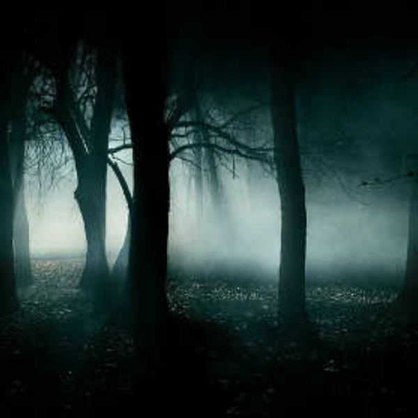 Manhunt