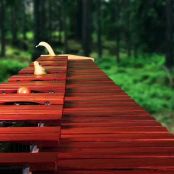 Marimba Trap