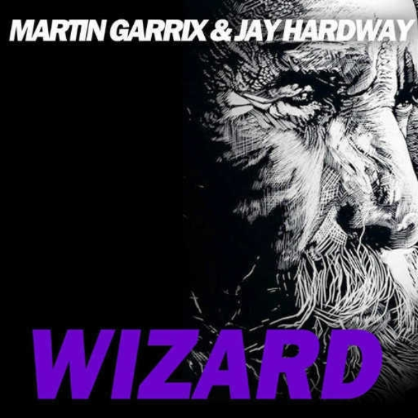 Martin Garrix- Wizard (PIXYY remix)