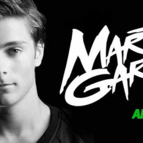 Martin Garrix - Animals [Remix]