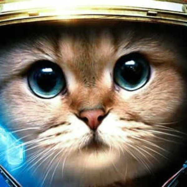 Martin Garrix Animals (ProblemV2 remix)