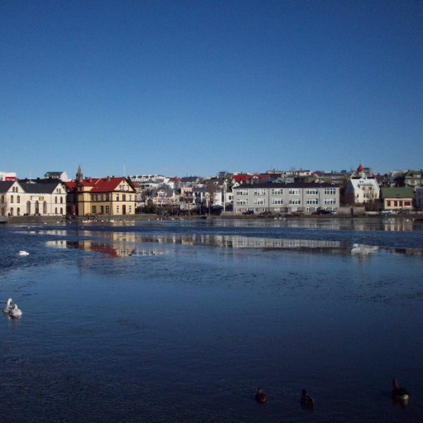 Masha i Medvedi - Reykjavik (dump cover)