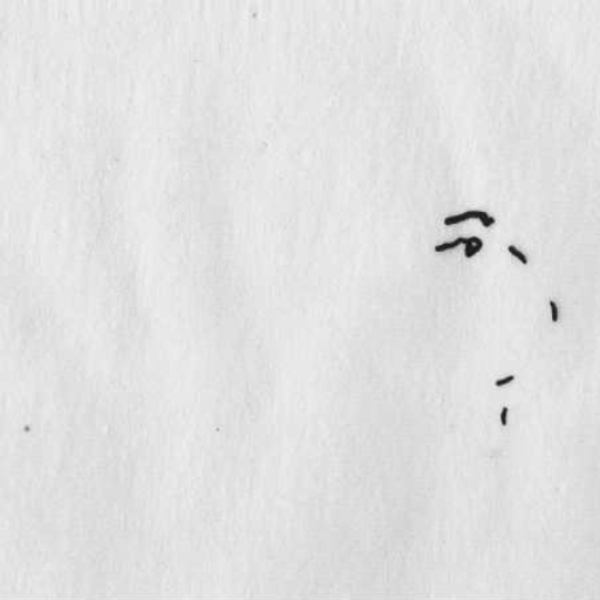 Maybe