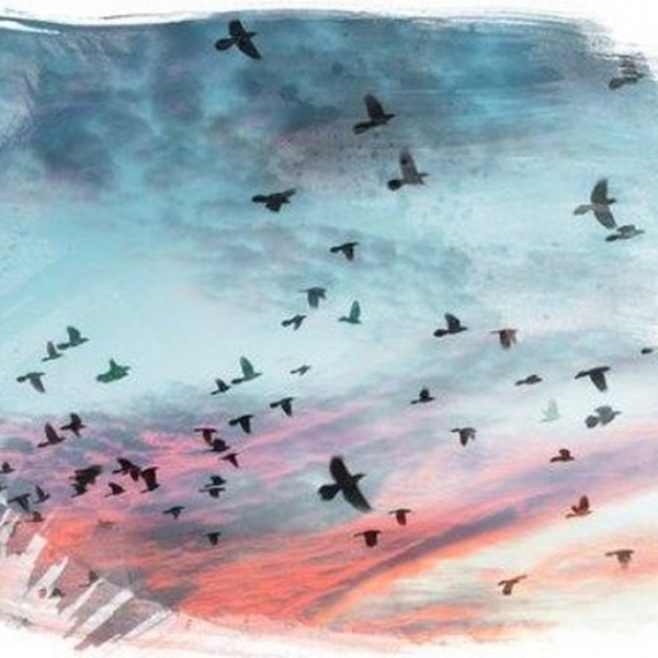 Featherweight