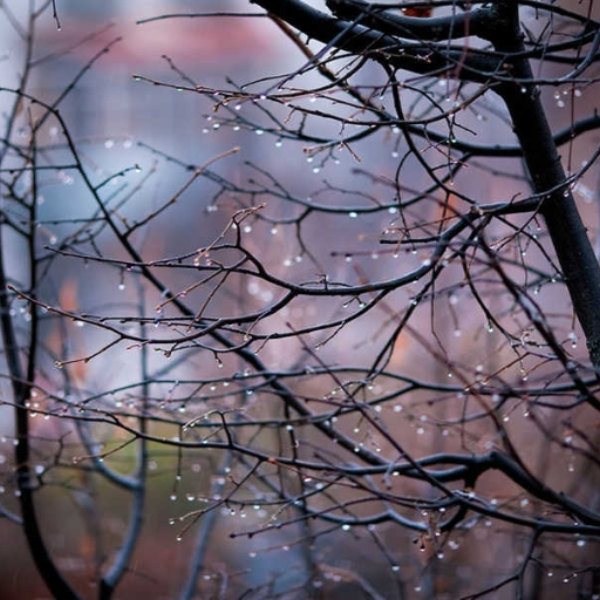 Melancholy