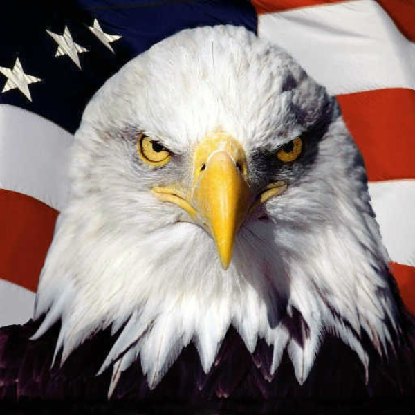 'Merica