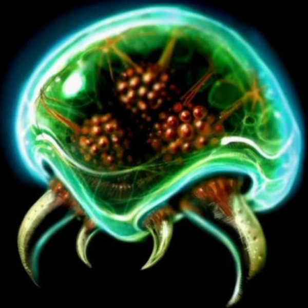 metroid