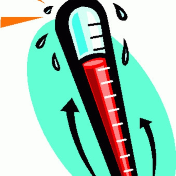 38.5° C