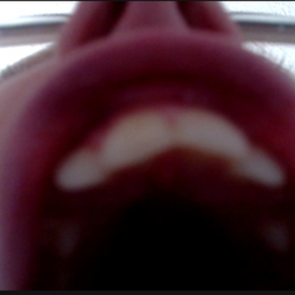 SCREAMING PART TWO (Ft. Rocka'Chan)