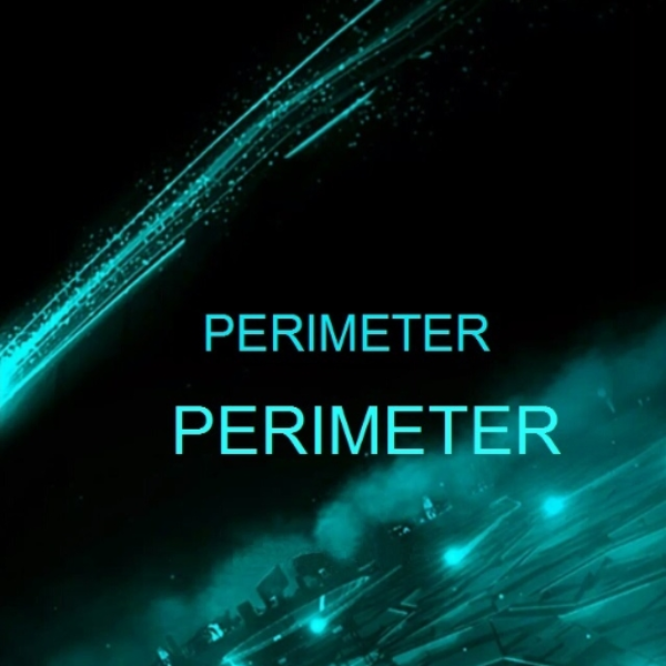 Perimeter